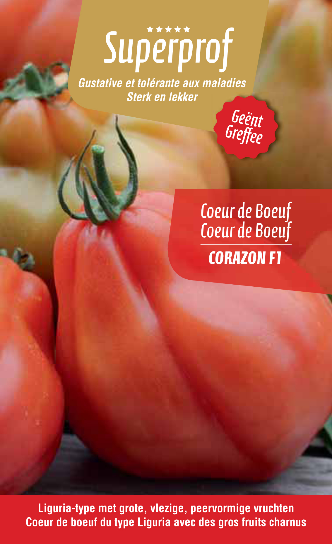 tomate greffée c.d.boeuf Corazon  (tray 8 pot)
